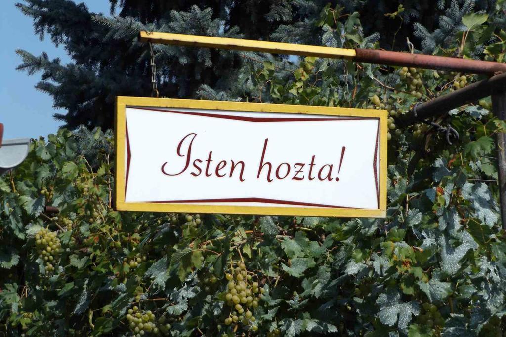 Opusztaszeri Mozes Vendeghaz Hotel Luaran gambar
